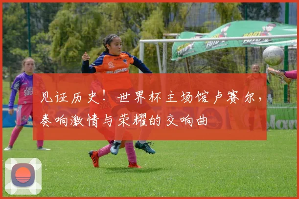 见证历史！世界杯主场馆卢赛尔，奏响激情与荣耀的交响曲
