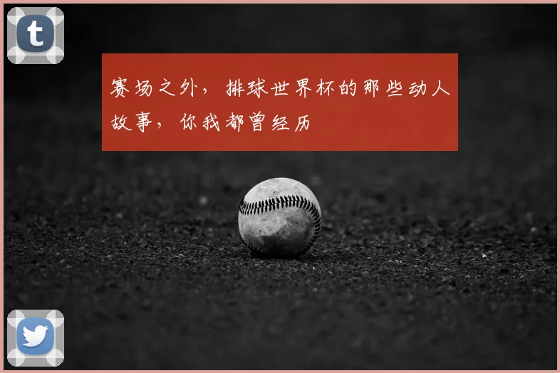 赛场之外，排球世界杯的那些动人故事，你我都曾经历