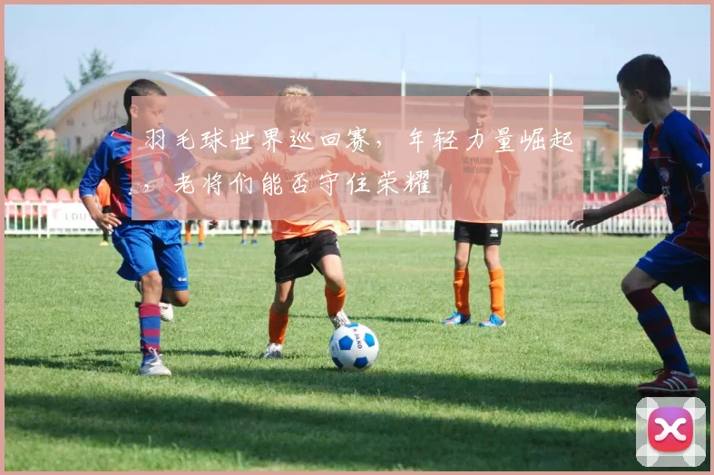 羽毛球世界巡回赛，年轻力量崛起，老将们能否守住荣耀